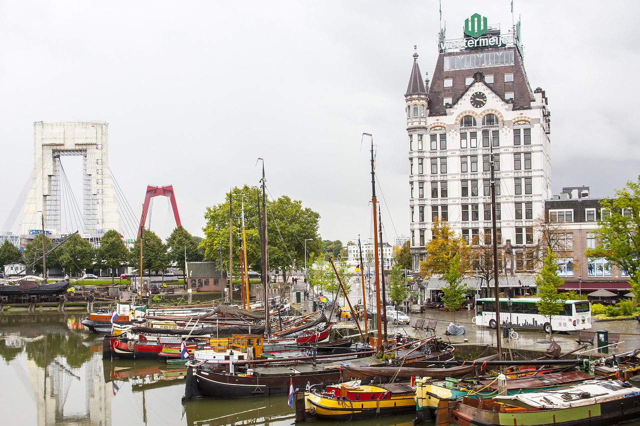 rotterdam day trip