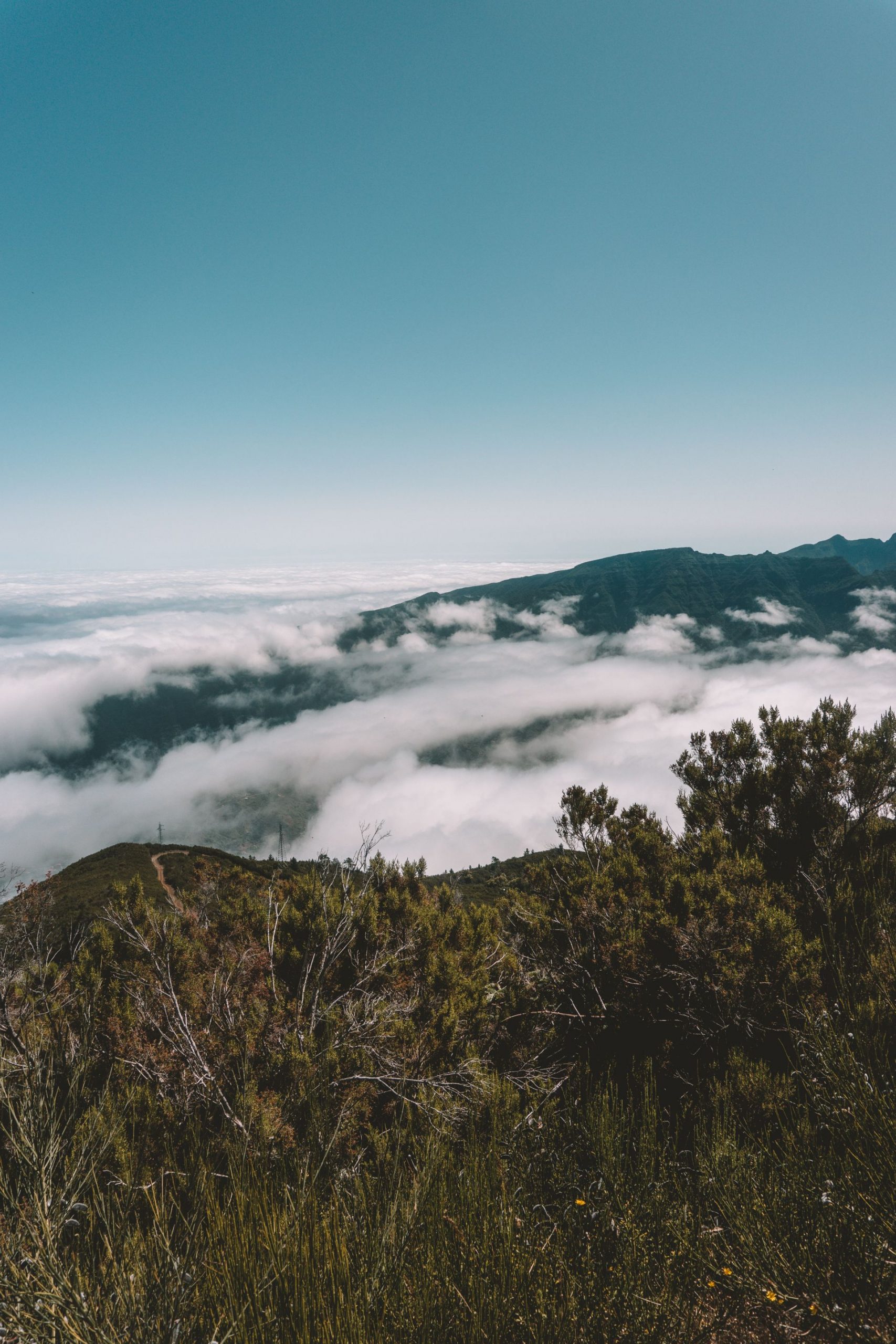 The Beginners Guide To Madeira