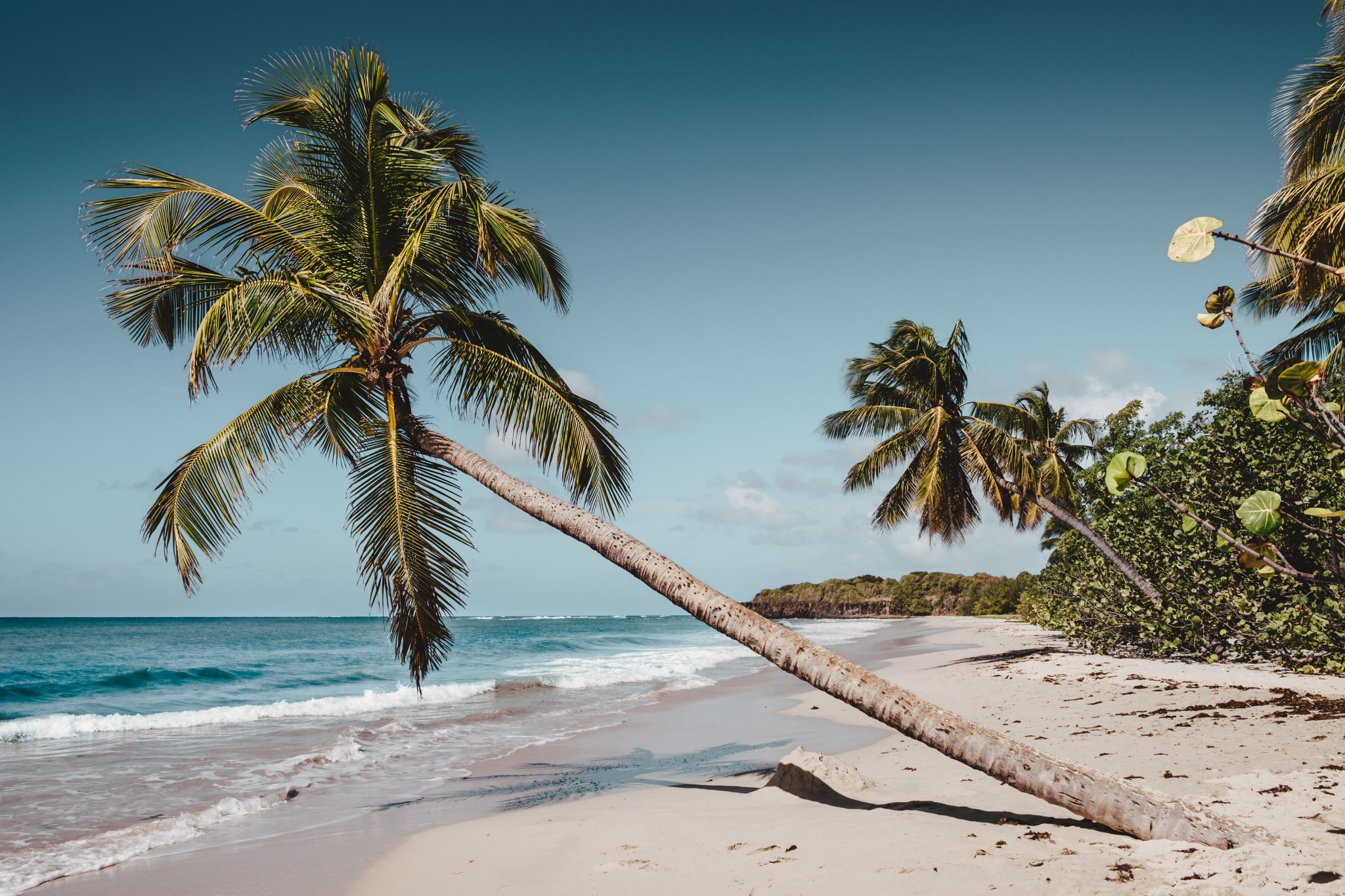 The Best Travel Quotes That Make You Wanna Leave Now!