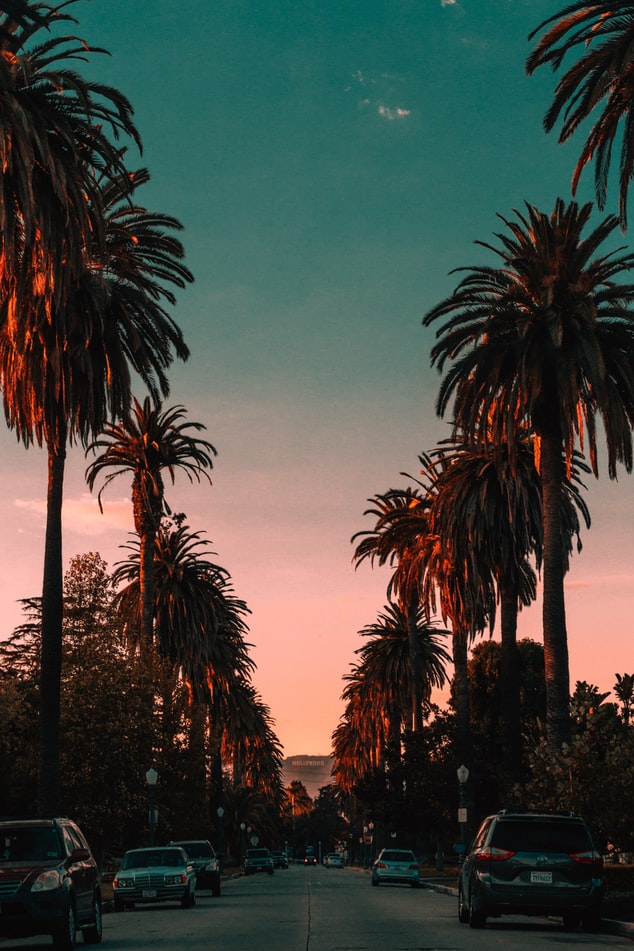 palmtrees with sunset, 20 trips to take in your twenties, where to go