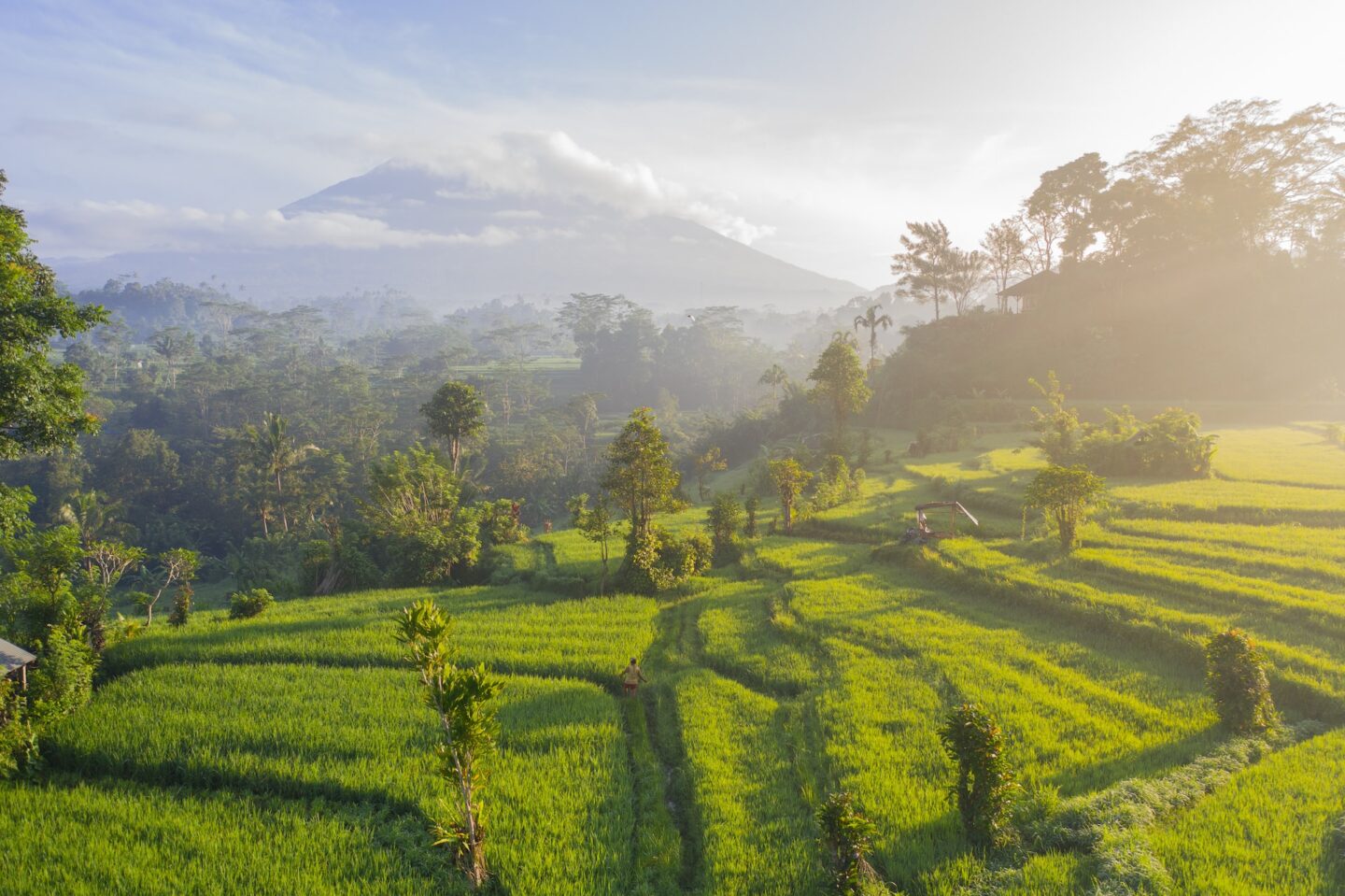 ricefields and vulcano in bali