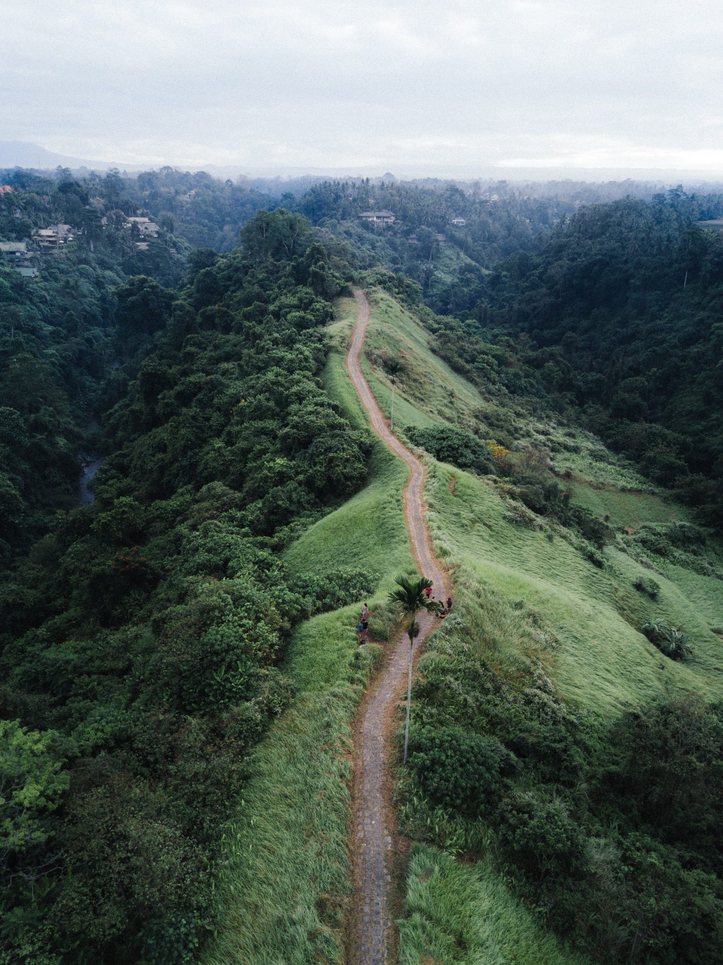 a view over a hiking trail on bali, view over bali with nature views
