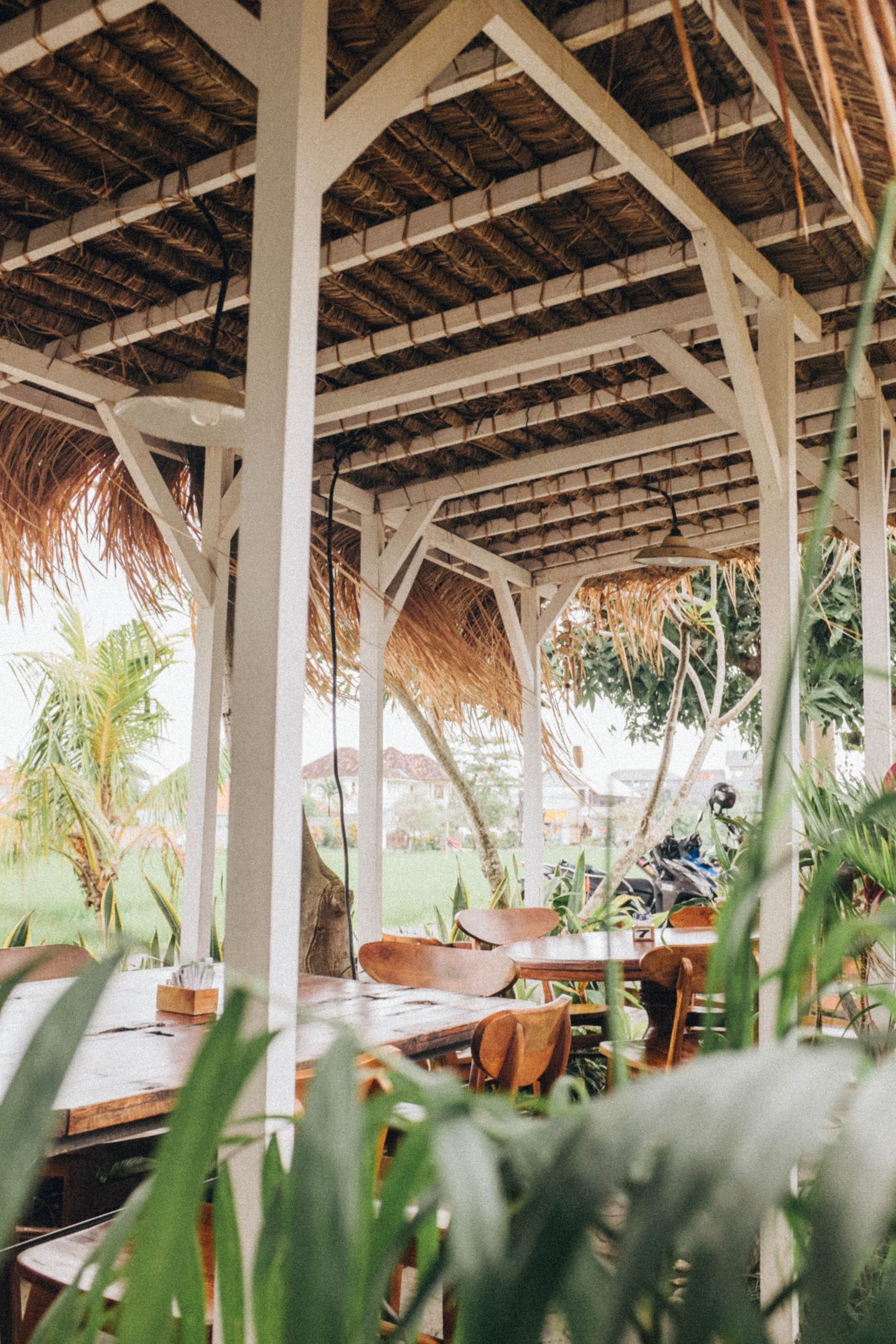 a restaurant in tropical bali, greenery and jungle vibes, vegan and vegetarian travel tips