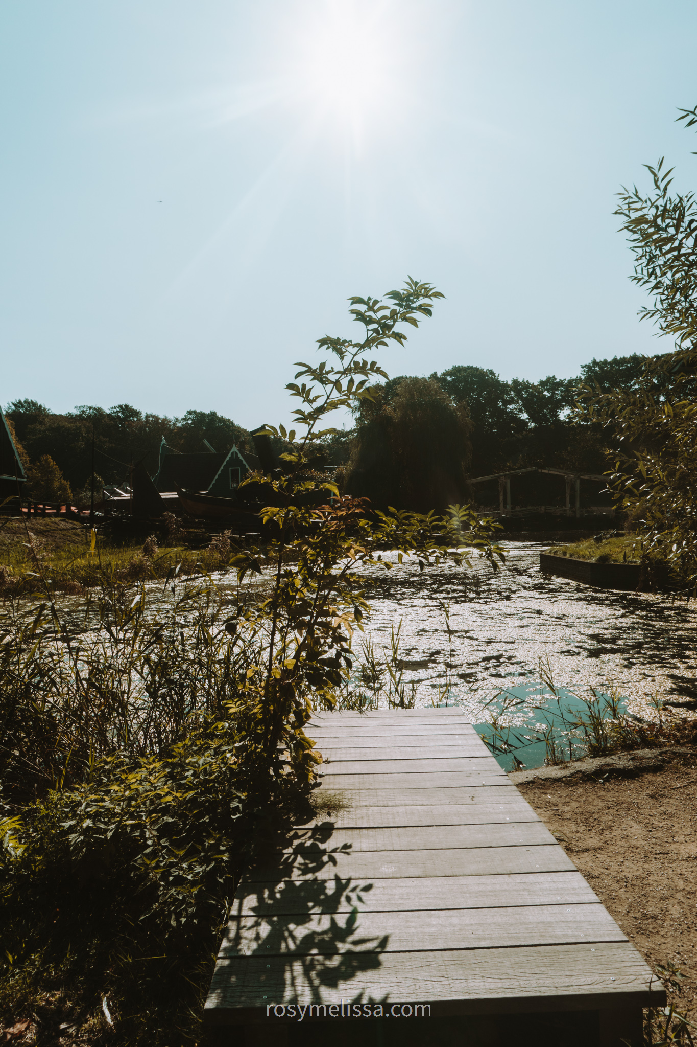 view over water in the netherlands, nature vibes in holland