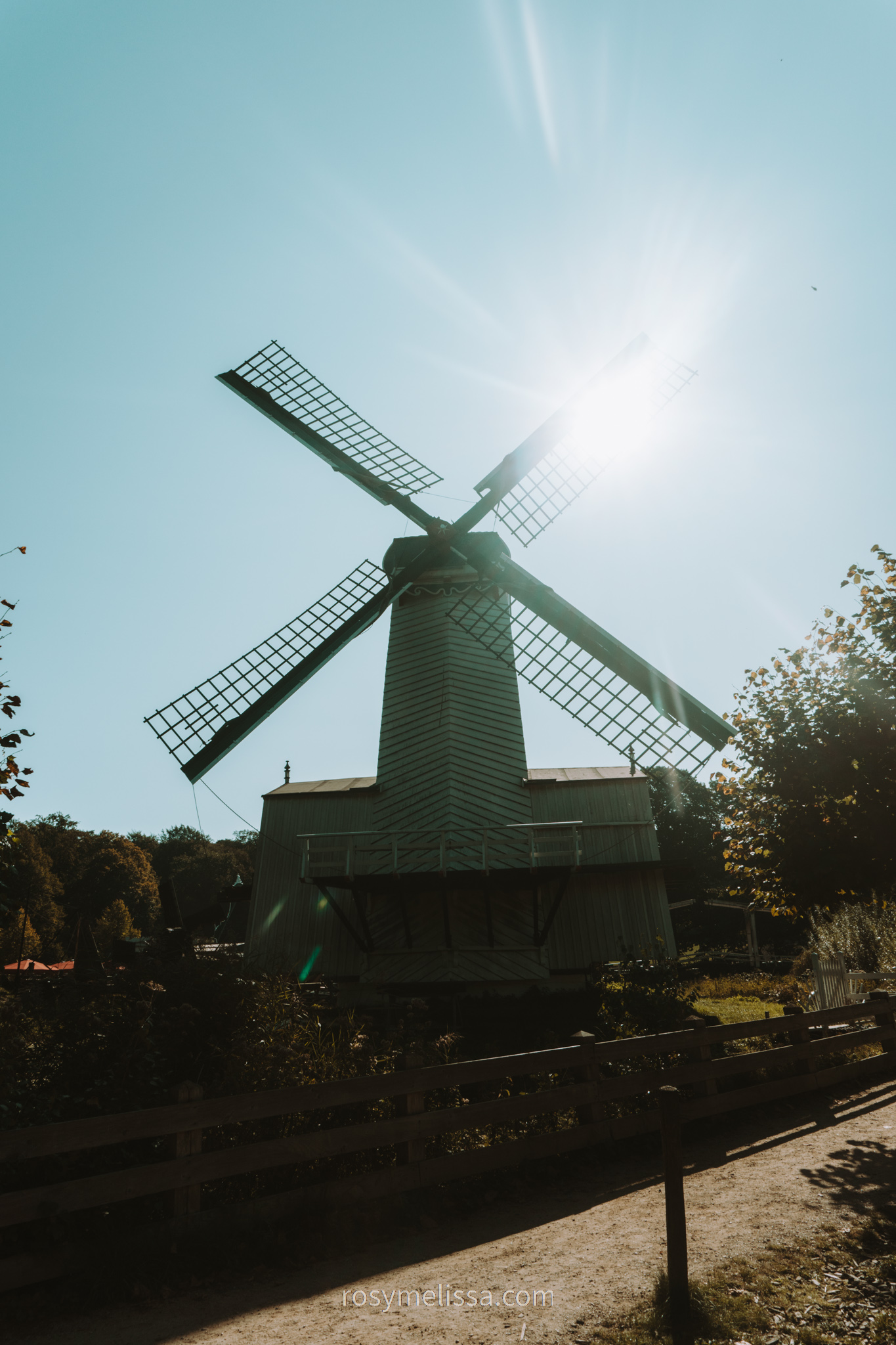 view on wildmill with sunshine, travel in holland