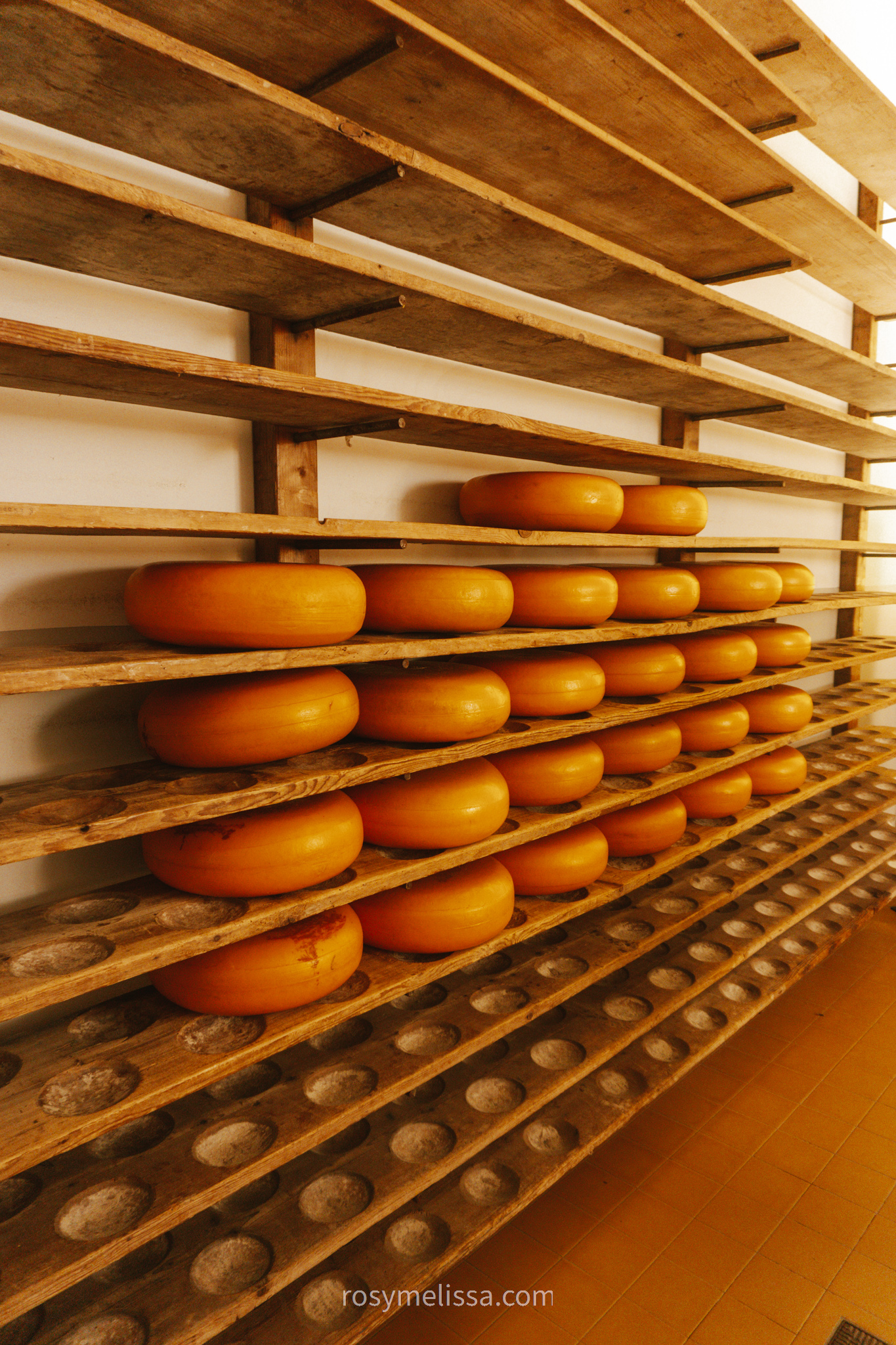cheese factory of the netherlands, dutch cheese, openluchtmuseum