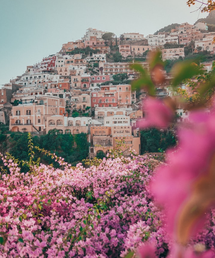 view over cinque terre with pink flowers in foreground